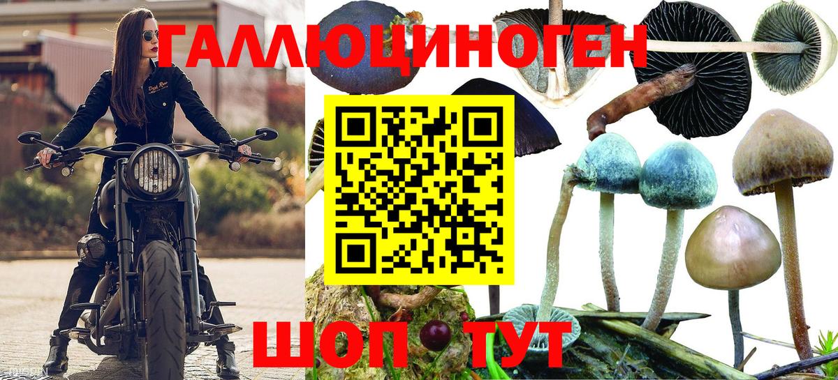 Галлюциногенные грибы мухоморы Симферополь