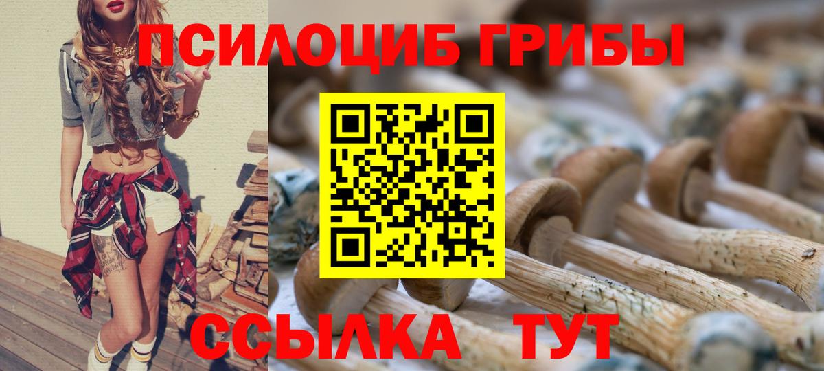 Псилоцибиновые грибы мицелий  Вход с VPN  Галлюциногенные грибы Cubensis  Симферополь 